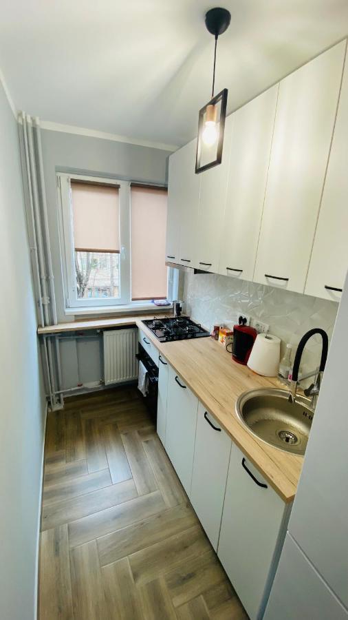 Dacia Apartment Timisoara Luaran gambar