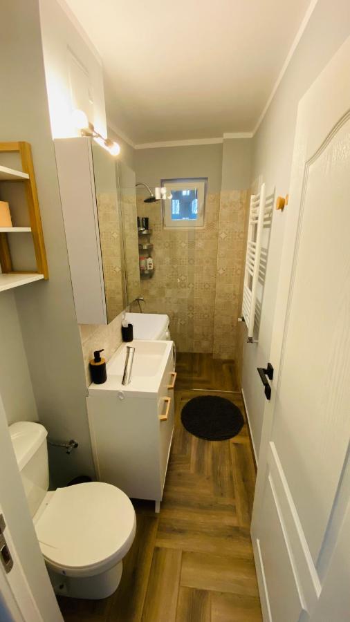 Dacia Apartment Timisoara Luaran gambar