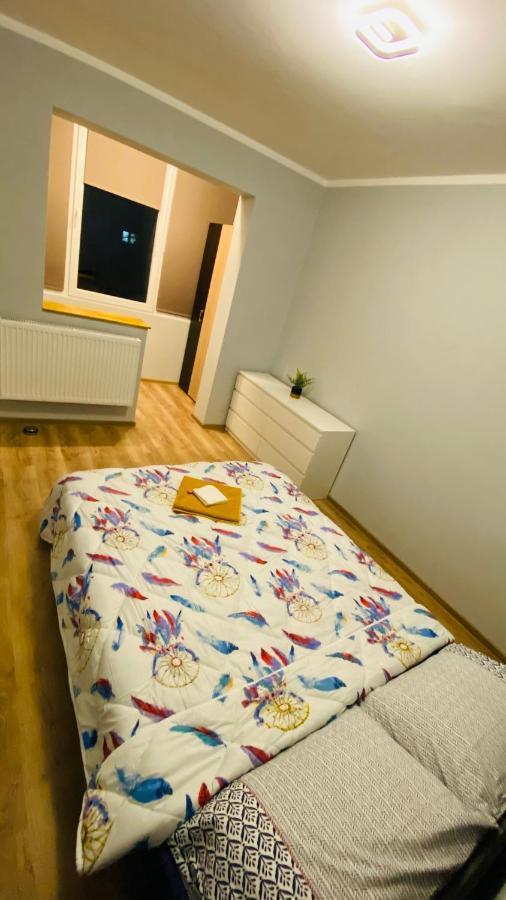 Dacia Apartment Timisoara Luaran gambar